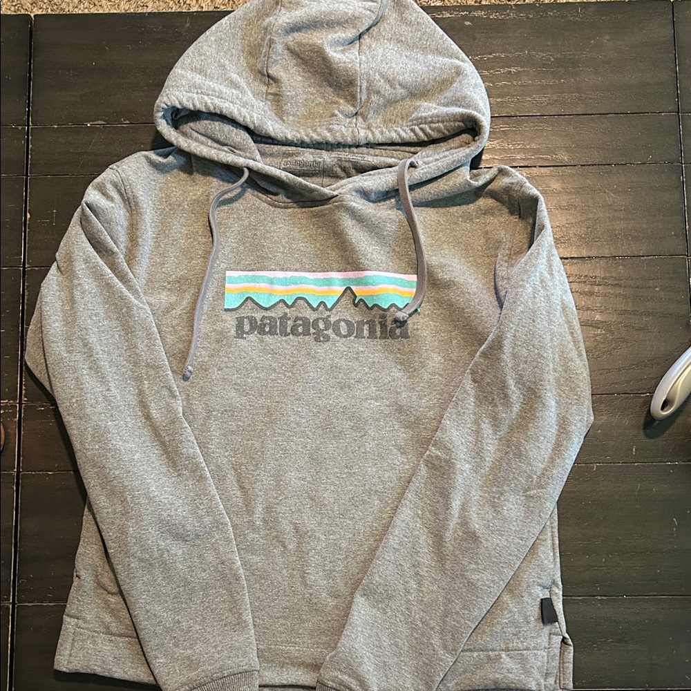 Patagonia Gray Hoodie with Teal, Yellow & Black Logo